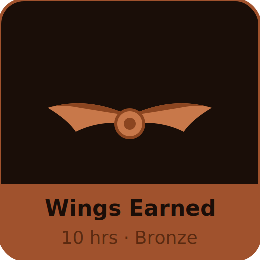 First 10 hours in the logbook
